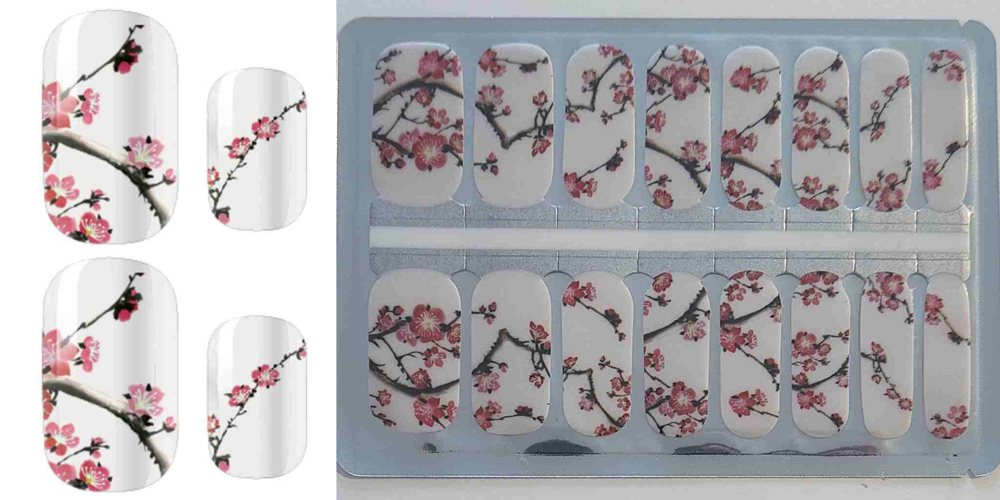 Cherry Blossom (NPW)