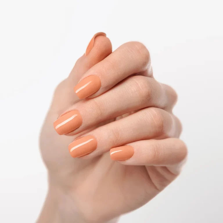 Apricot Kiss UV-EG