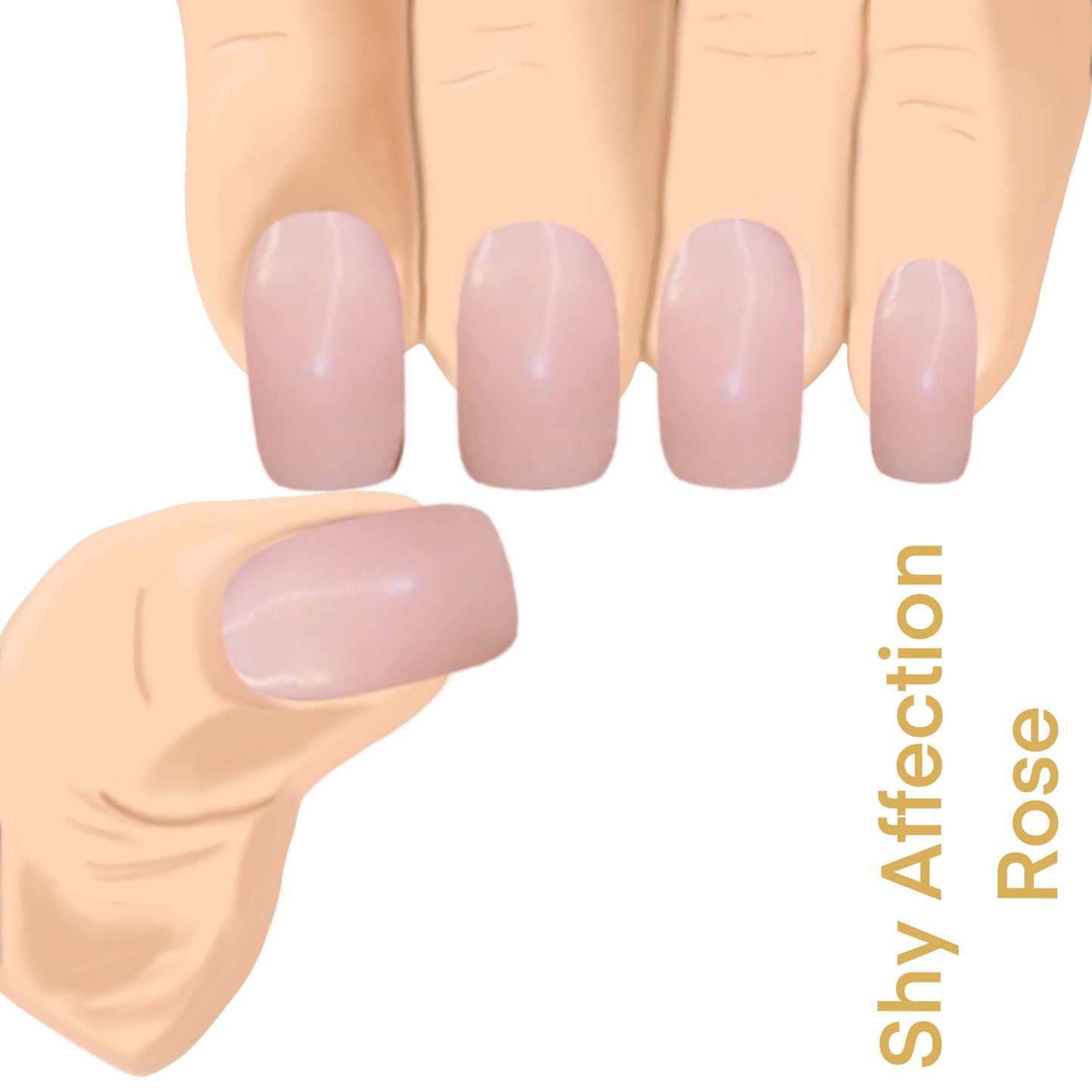 Shy Affection Rose UV-EG
