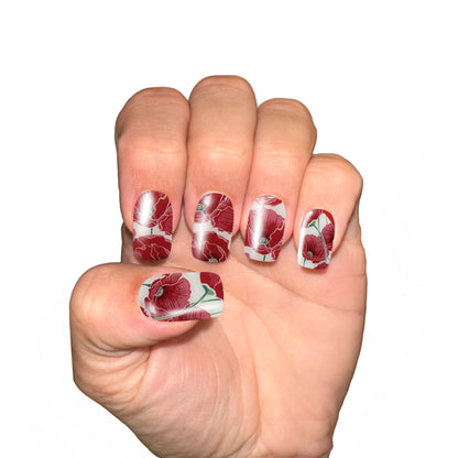Red Poppy UV-EG