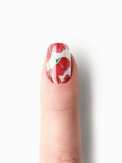 Red Poppy UV-EG
