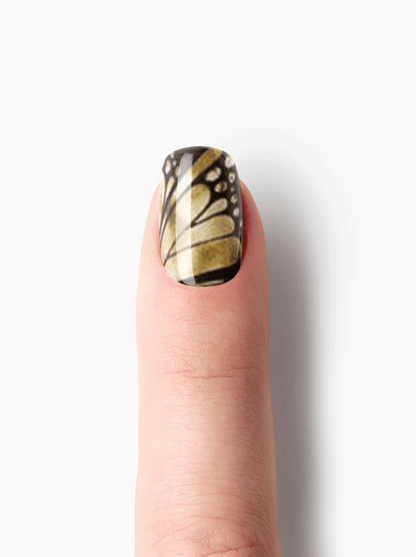 Mariposa UV-EG