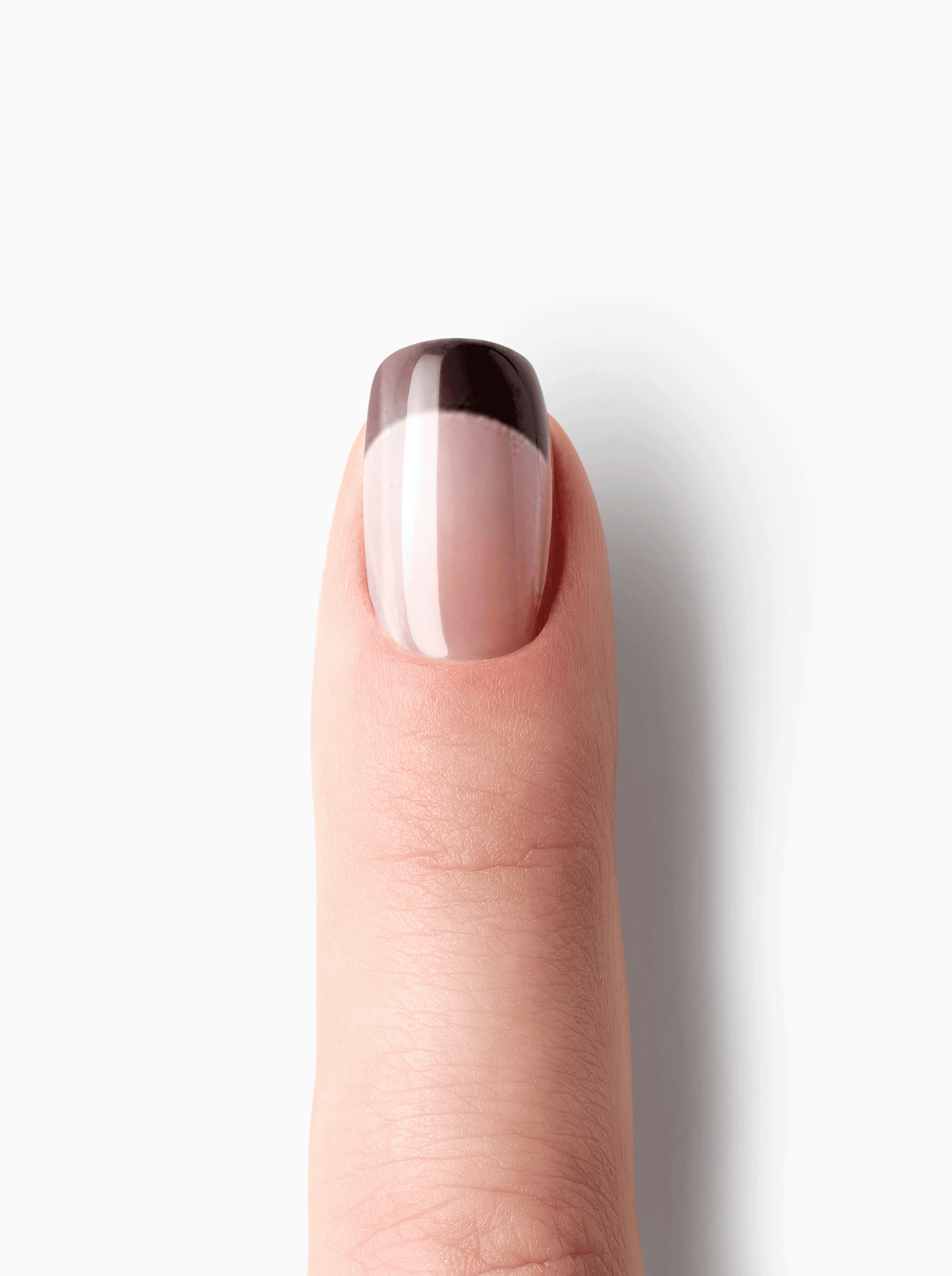 French Chestnut UV-EG